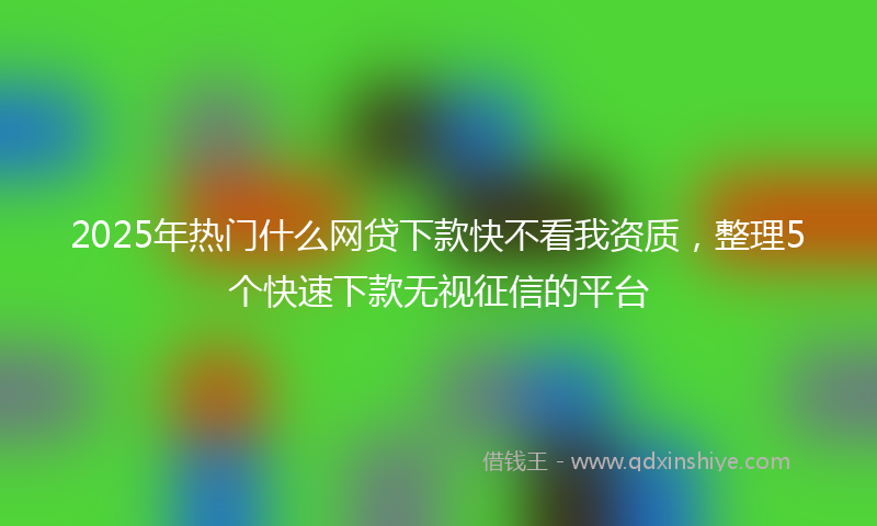 2025年热门什么网贷下款快不看我资质，整理5个快速下款无视征信的平台