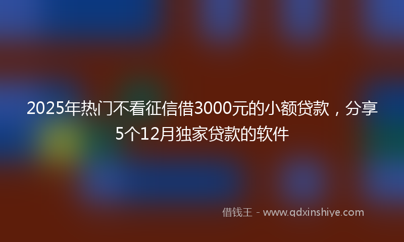 2025年热门不看征信借3000元的小额贷款，分享5个12月独家贷款的软件