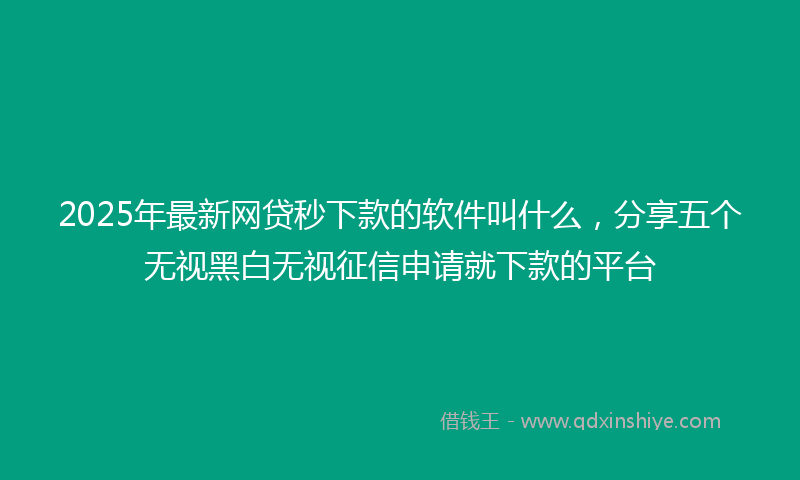 2025年最新网贷秒下款的软件叫什么，分享五个无视黑白无视征信申请就下款的平台