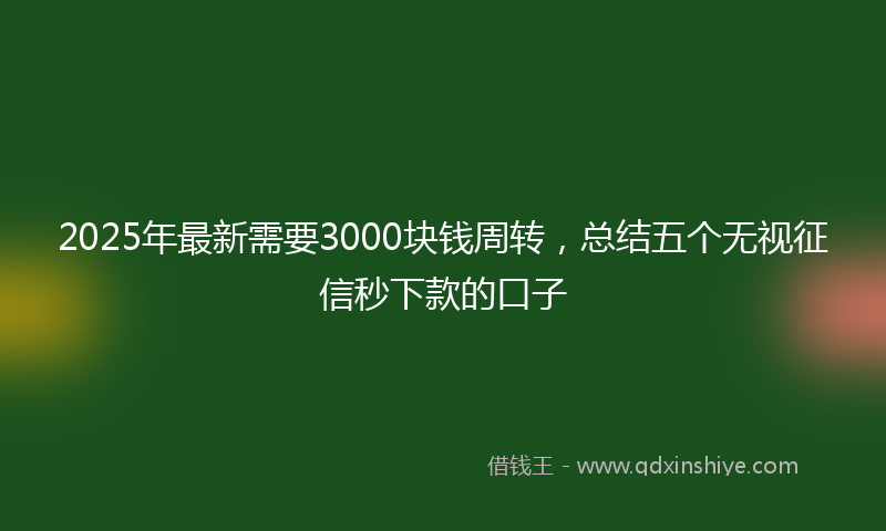 2025年最新需要3000块钱周转，总结五个无视征信秒下款的口子
