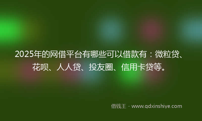 2025年的网借平台有哪些可以借款有：微粒贷、花呗、人人贷、投友圈、信用卡贷等。