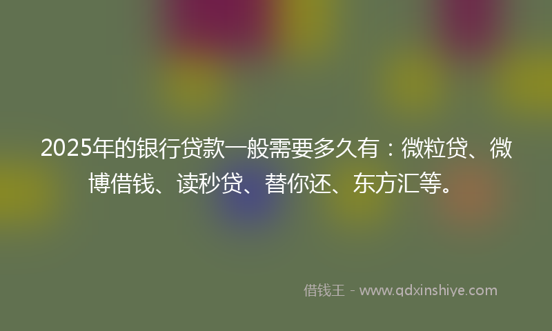 2025年的银行贷款一般需要多久有:微粒贷、微博借钱、读秒贷、替你还、东方汇等。