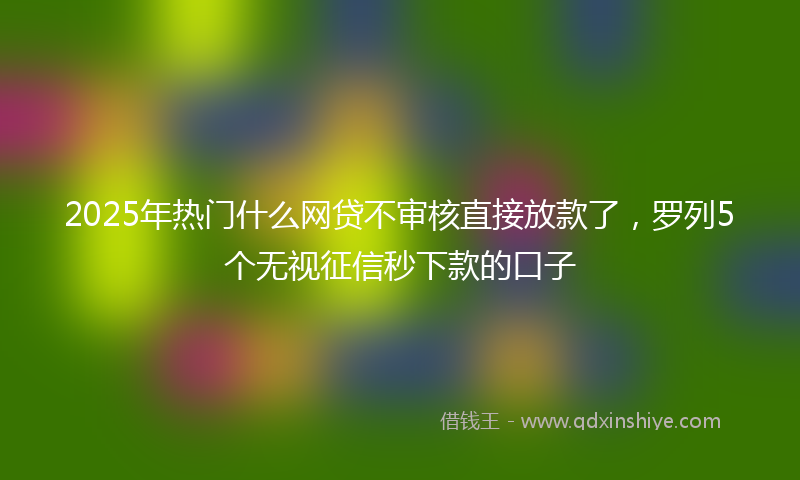 2025年热门什么网贷不审核直接放款了，罗列5个无视征信秒下款的口子