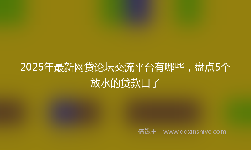 2025年最新网贷论坛交流平台有哪些，盘点5个放水的贷款口子