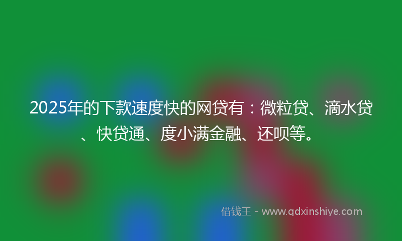 2025年的下款速度快的网贷有：微粒贷、滴水贷、快贷通、度小满金融、还呗等。