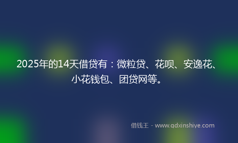 2025年的14天借贷有：微粒贷、花呗、安逸花、小花钱包、团贷网等。