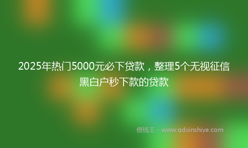 2025年热门5000元必下贷款，整理5个无视征信黑白户秒下款的贷款