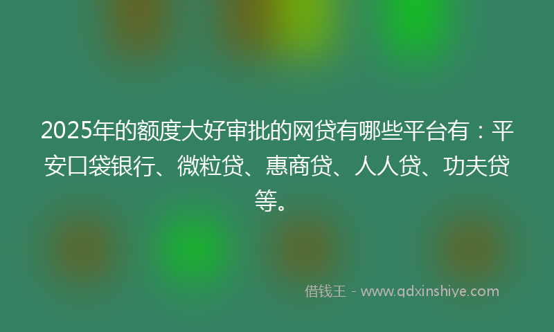2025年的额度大好审批的网贷有哪些平台有：平安口袋银行、微粒贷、惠商贷、人人贷、功夫贷等。