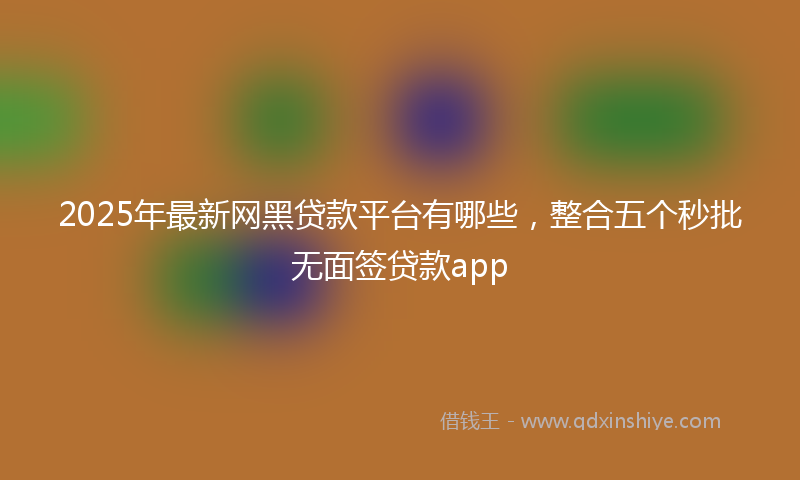 2025年最新网黑贷款平台有哪些，整合五个秒批无面签贷款app