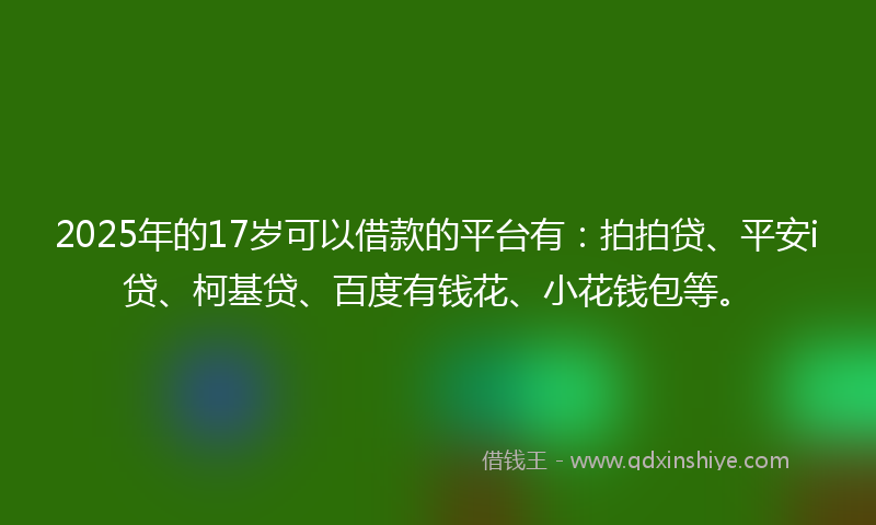 2025年的17岁可以借款的平台有：拍拍贷、平安i贷、柯基贷、百度有钱花、小花钱包等。