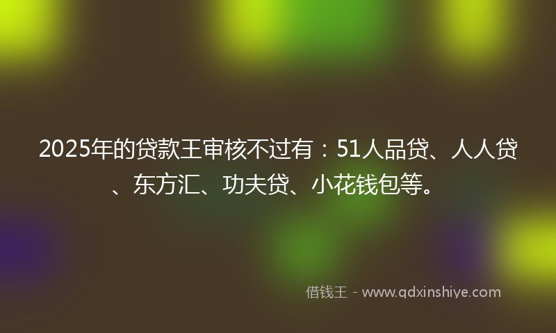 2025年的贷款王审核不过有：51人品贷、人人贷、东方汇、功夫贷、小花钱包等。