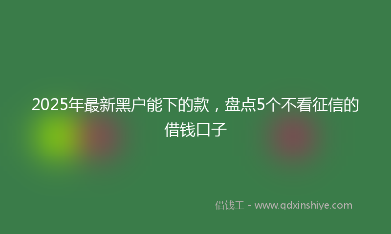 2025年最新黑户能下的款，盘点5个不看征信的借钱口子