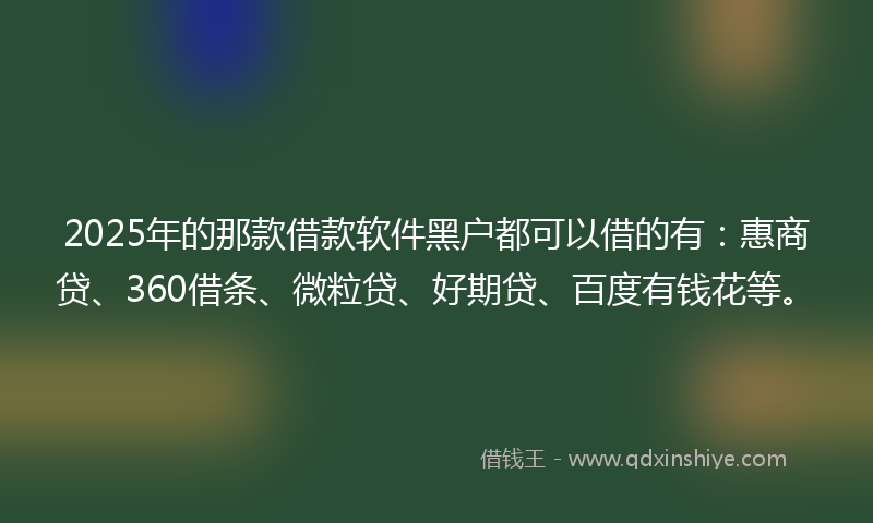 2025年的那款借款软件黑户都可以借的有：惠商贷、360借条、微粒贷、好期贷、百度有钱花等。