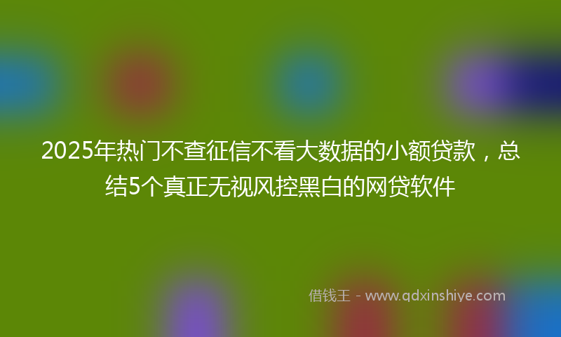 2025年热门不查征信不看大数据的小额贷款，总结5个真正无视风控黑白的网贷软件