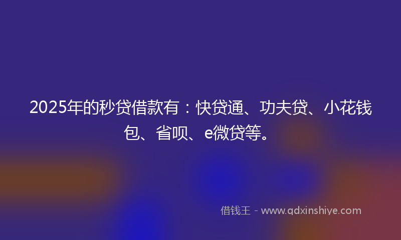 2025年的秒贷借款有：快贷通、功夫贷、小花钱包、省呗、e微贷等。