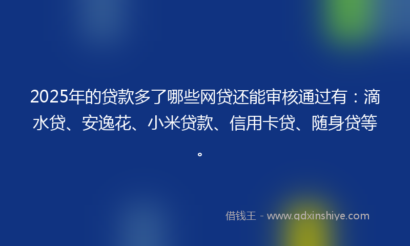 2025年的贷款多了哪些网贷还能审核通过有：滴水贷、安逸花、小米贷款、信用卡贷、随身贷等。