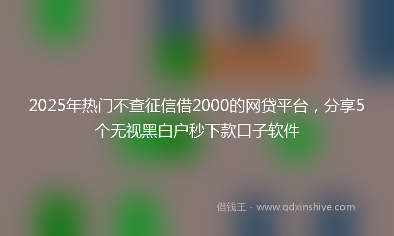 2025年热门不查征信借2000的网贷平台，分享5个无视黑白户秒下款口子软件