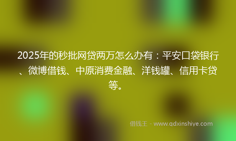 2025年的秒批网贷两万怎么办有：平安口袋银行、微博借钱、中原消费金融、洋钱罐、信用卡贷等。