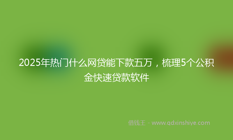 2025年热门什么网贷能下款五万，梳理5个公积金快速贷款软件
