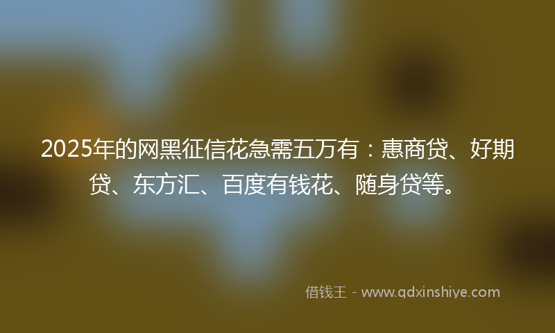 2025年的网黑征信花急需五万有：惠商贷、好期贷、东方汇、百度有钱花、随身贷等。