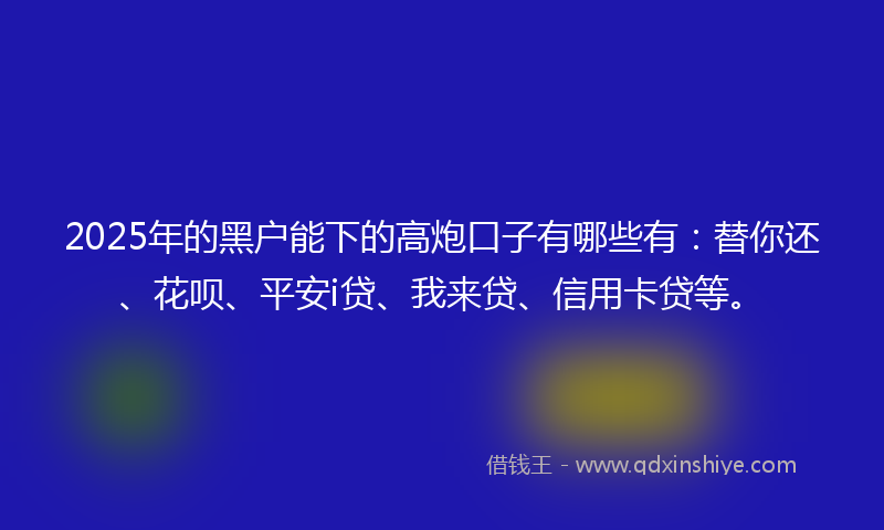 2025年的黑户能下的高炮口子有哪些有：替你还、花呗、平安i贷、我来贷、信用卡贷等。