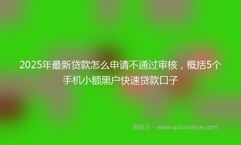 2025年最新贷款怎么申请不通过审核，概括5个手机小额黑户快速贷款口子