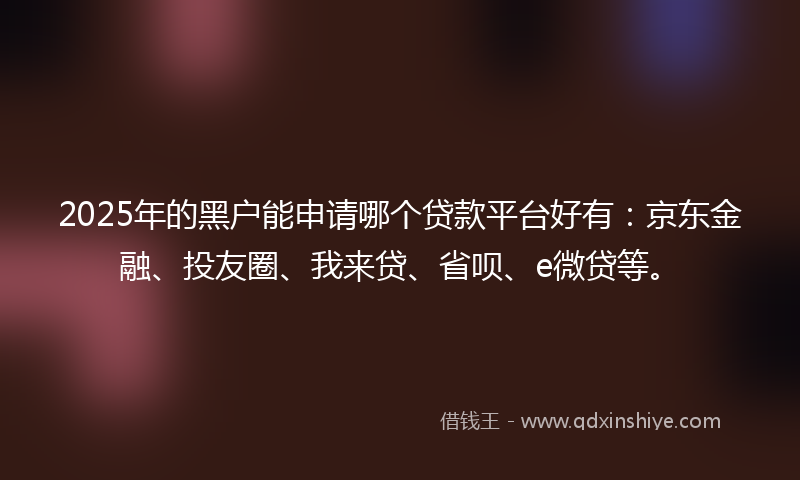 2025年的黑户能申请哪个贷款平台好有：京东金融、投友圈、我来贷、省呗、e微贷等。
