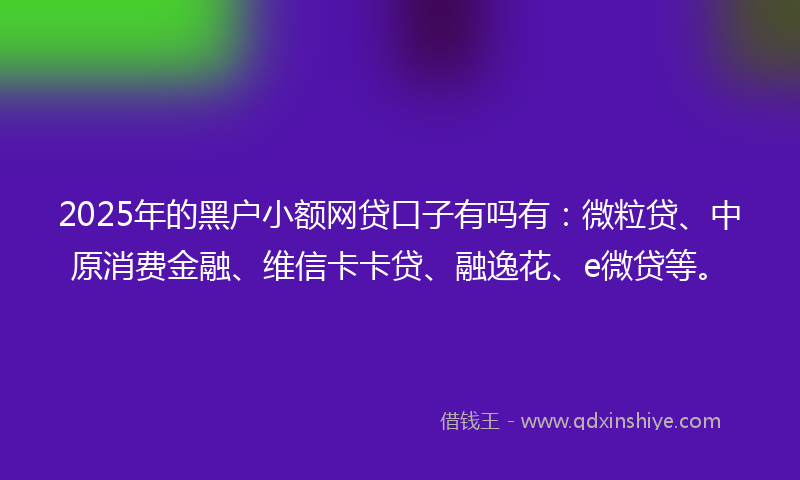 2025年的黑户小额网贷口子有吗有：微粒贷、中原消费金融、维信卡卡贷、融逸花、e微贷等。