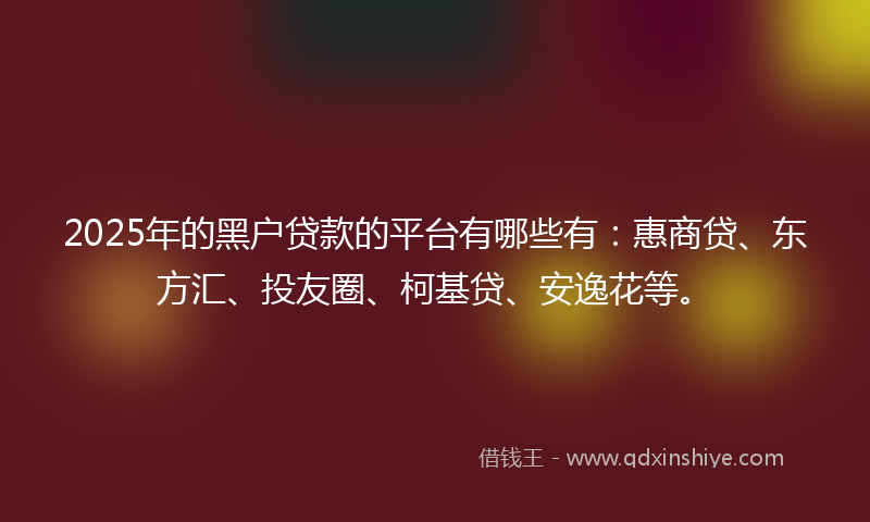 2025年的黑户贷款的平台有哪些有：惠商贷、东方汇、投友圈、柯基贷、安逸花等。