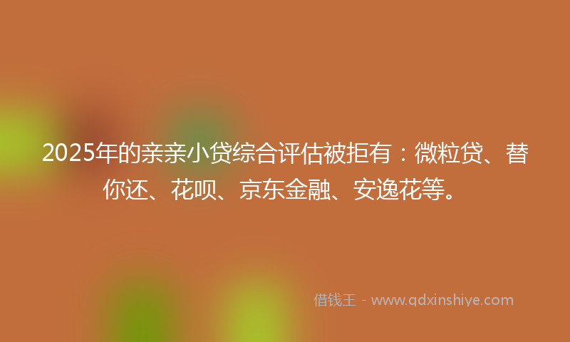 2025年的亲亲小贷综合评估被拒有：微粒贷、替你还、花呗、京东金融、安逸花等。