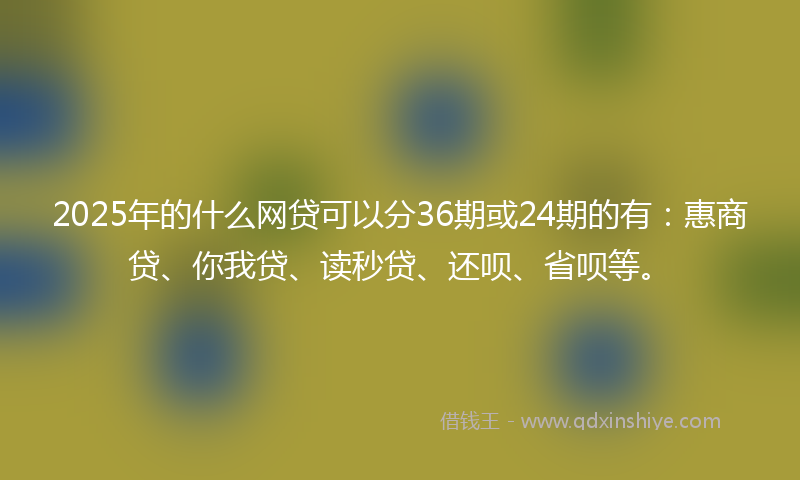 2025年的什么网贷可以分36期或24期的有：惠商贷、你我贷、读秒贷、还呗、省呗等。