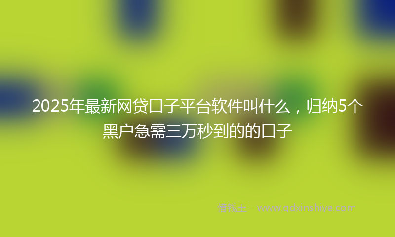 2025年最新网贷口子平台软件叫什么，归纳5个黑户急需三万秒到的的口子