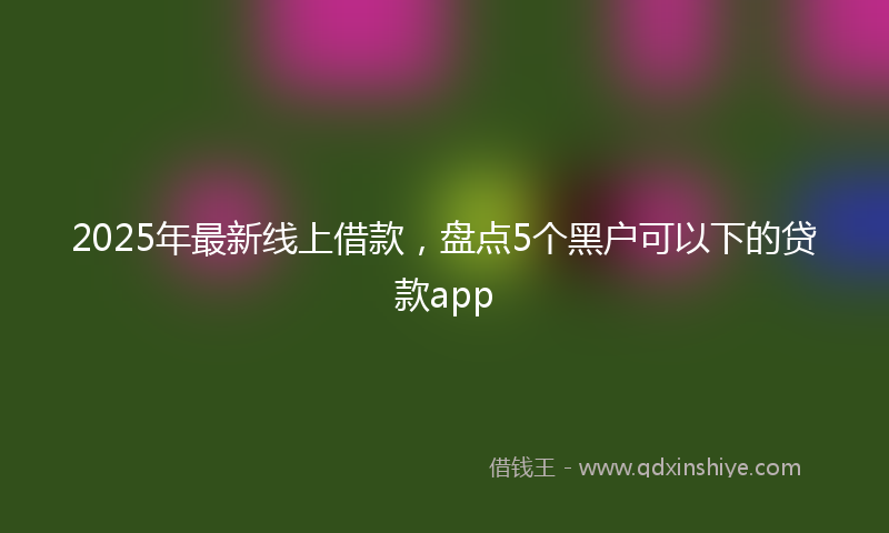 2025年最新线上借款，盘点5个黑户可以下的贷款app