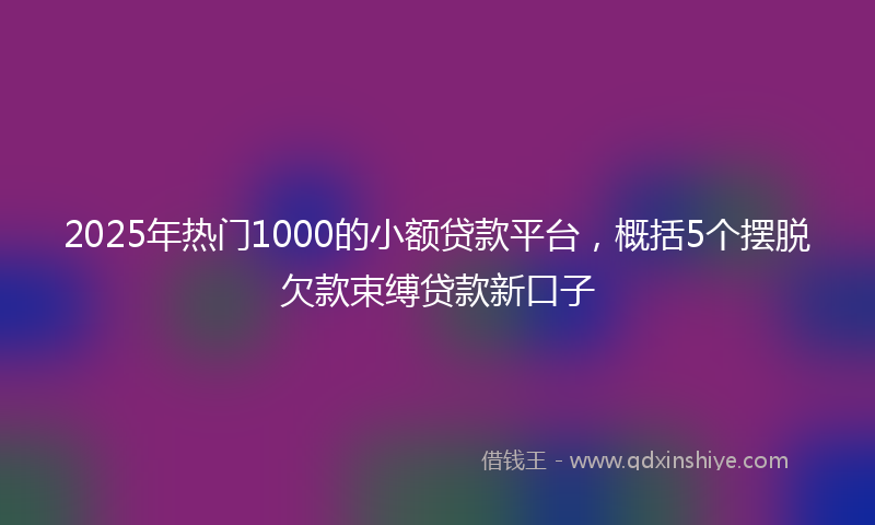 2025年热门1000的小额贷款平台，概括5个摆脱欠款束缚贷款新口子