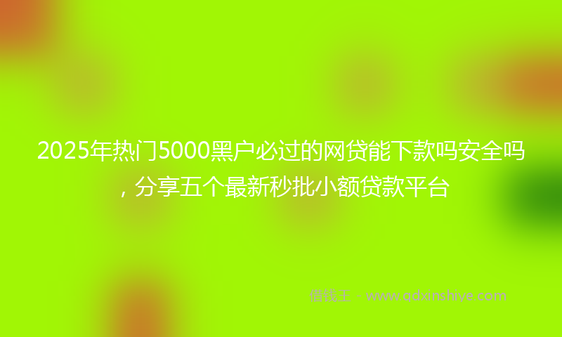 2025年热门5000黑户必过的网贷能下款吗安全吗，分享五个最新秒批小额贷款平台