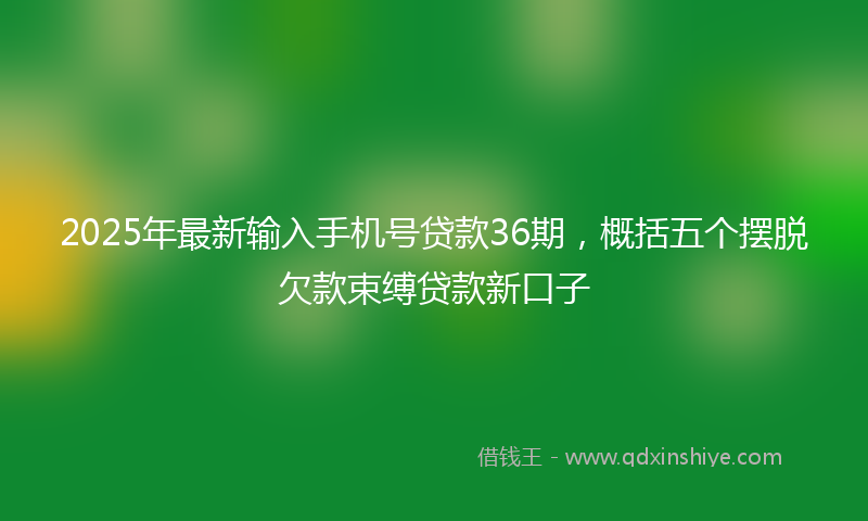 2025年最新输入手机号贷款36期，概括五个摆脱欠款束缚贷款新口子