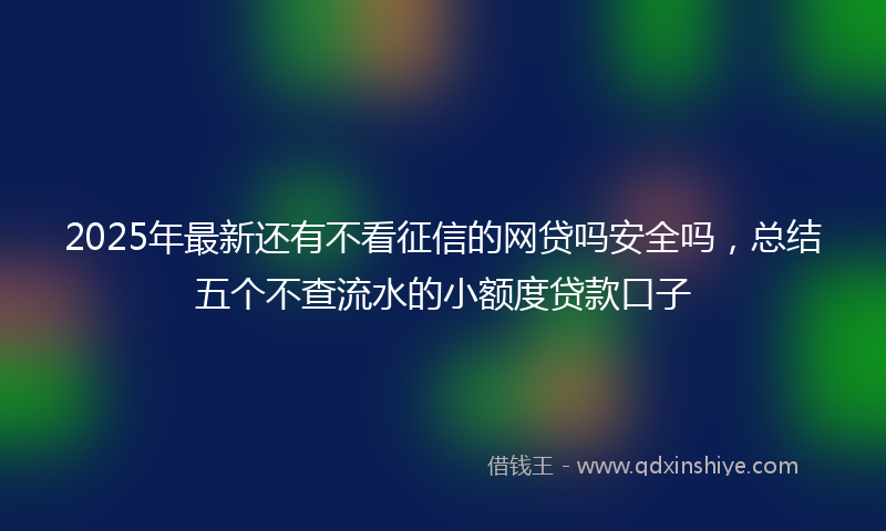 2025年最新还有不看征信的网贷吗安全吗，总结五个不查流水的小额度贷款口子