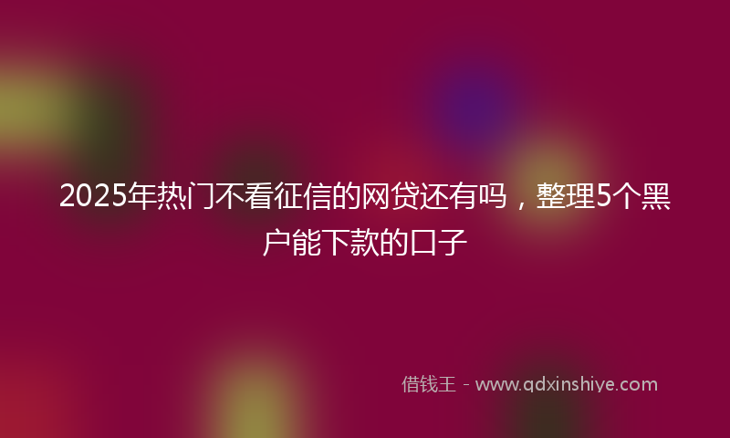 2025年热门不看征信的网贷还有吗，整理5个黑户能下款的口子