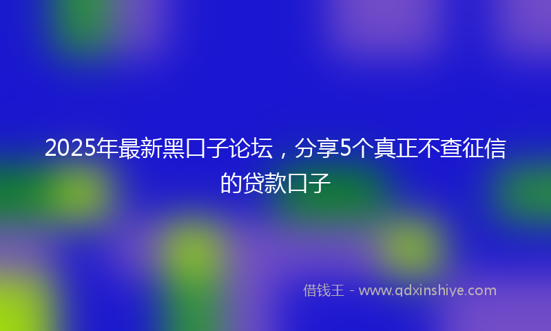 2025年最新黑口子论坛，分享5个真正不查征信的贷款口子