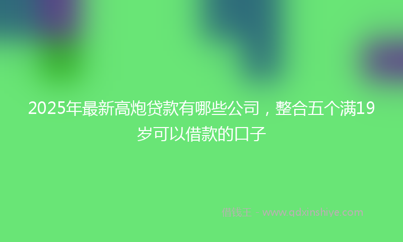 2025年最新高炮贷款有哪些公司，整合五个满19岁可以借款的口子