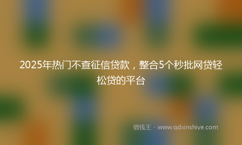2025年热门不查征信贷款，整合5个秒批网贷轻松贷的平台