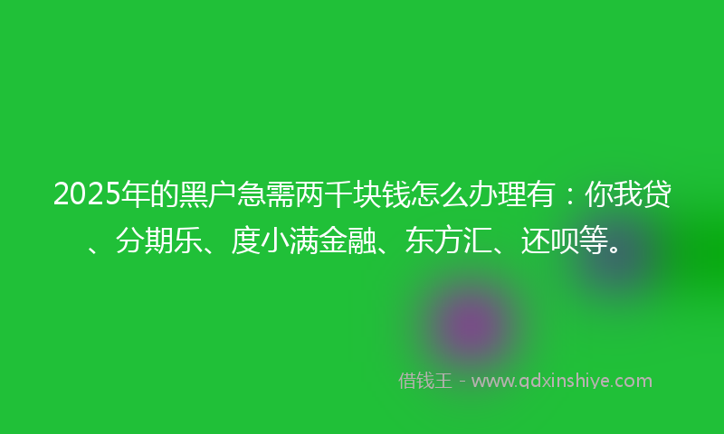 2025年的黑户急需两千块钱怎么办理有：你我贷、分期乐、度小满金融、东方汇、还呗等。