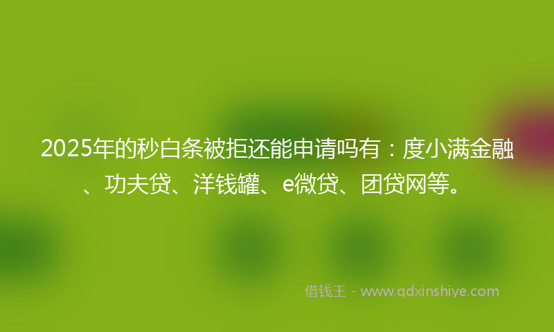 2025年的秒白条被拒还能申请吗有：度小满金融、功夫贷、洋钱罐、e微贷、团贷网等。