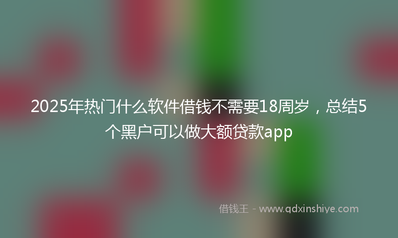 2025年热门什么软件借钱不需要18周岁，总结5个黑户可以做大额贷款app