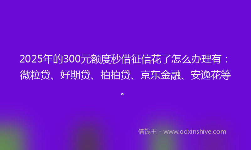 2025年的300元额度秒借征信花了怎么办理有：微粒贷、好期贷、拍拍贷、京东金融、安逸花等。