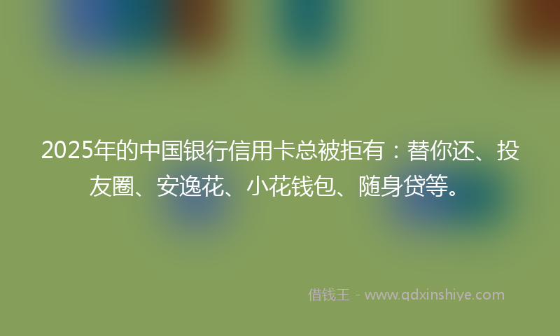 2025年的中国银行信用卡总被拒有：替你还、投友圈、安逸花、小花钱包、随身贷等。