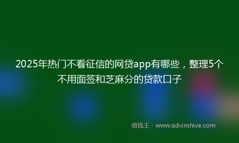 2025年热门不看征信的网贷app有哪些，整理5个不用面签和芝麻分的贷款口子