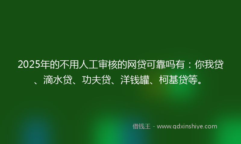 2025年的不用人工审核的网贷可靠吗有：你我贷、滴水贷、功夫贷、洋钱罐、柯基贷等。