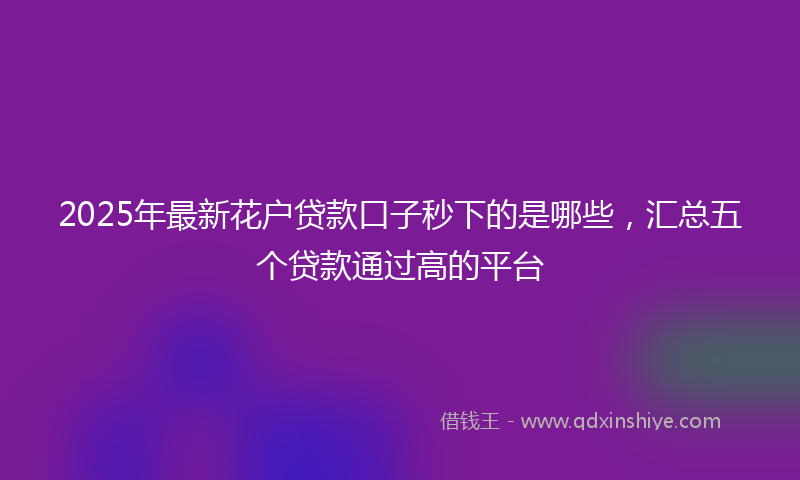 2025年最新花户贷款口子秒下的是哪些，汇总五个贷款通过高的平台