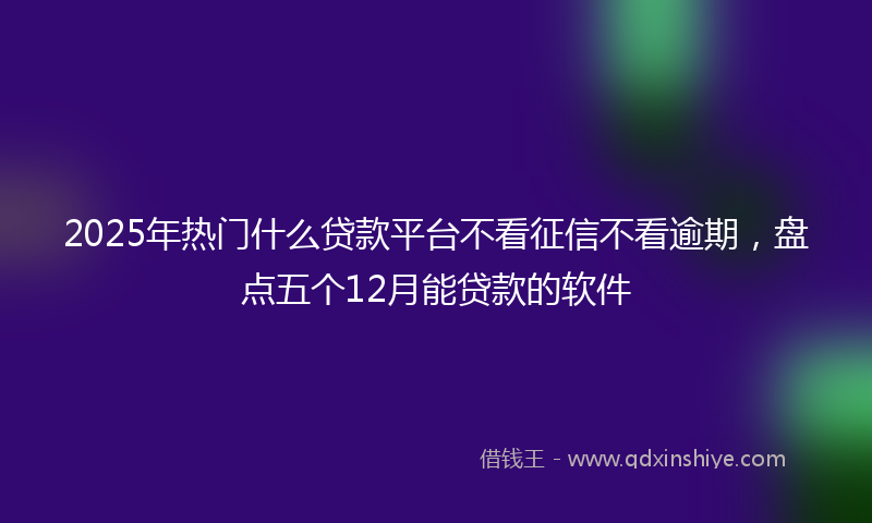 2025年热门什么贷款平台不看征信不看逾期，盘点五个12月能贷款的软件